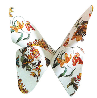 Art Origami Maria Sibylla Merian, Leptiri - Slika 4